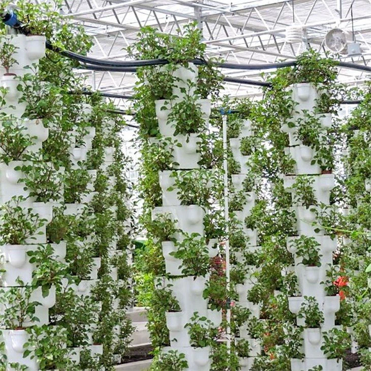 Aeroponics