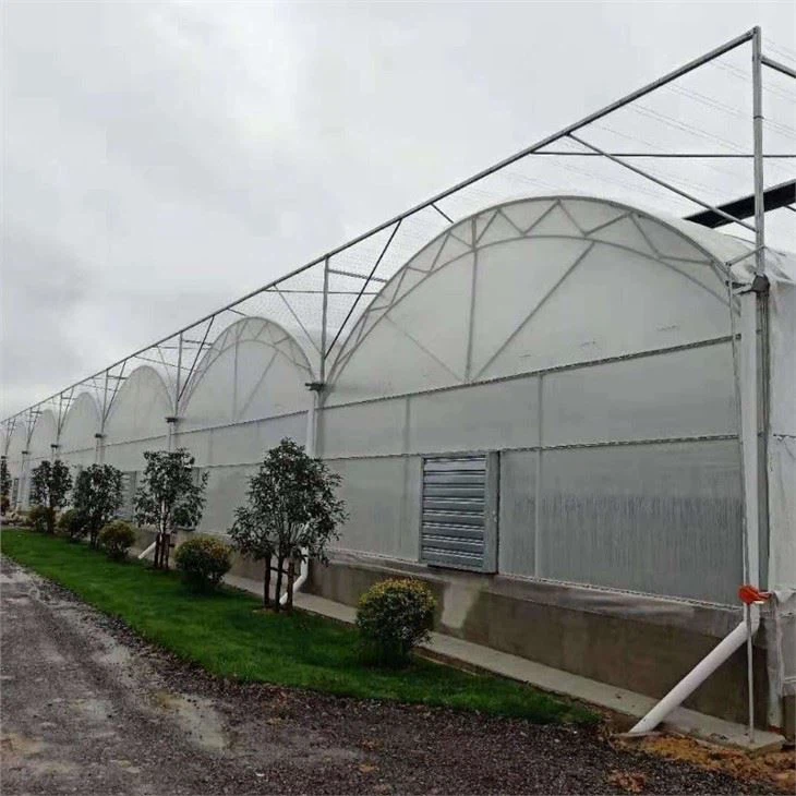 Double Layer Film Greenhouse