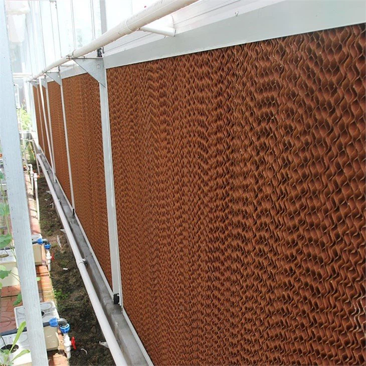 greenhouse-cooling