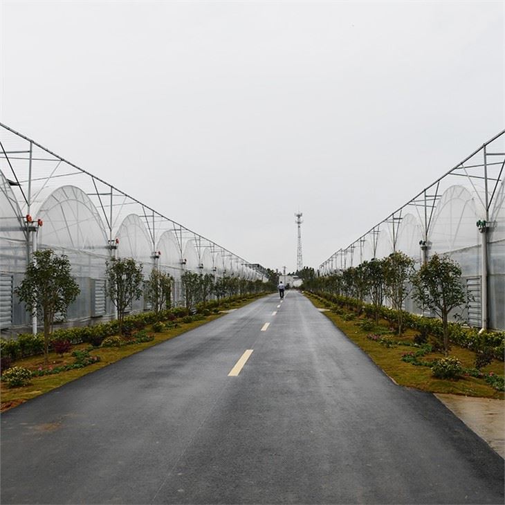Greenhouse Cover Film
