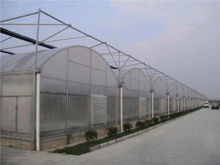 Greenhouse With Cooling System