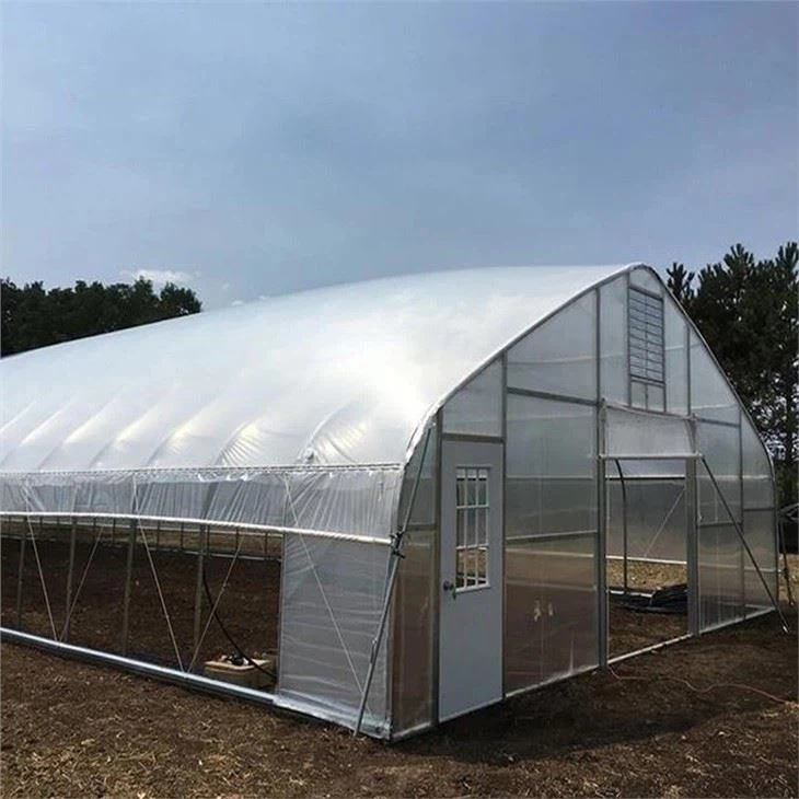 Singlespan Film Greenhouse