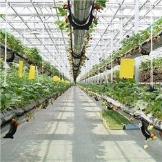 Greenhouse Engineering Beratung