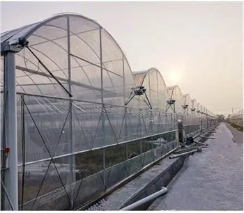 Einschichtige landwirtschaftliche Gewächshäuser