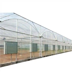 Heißer Verkauf Multi Span Film Gewächshaus für Tomatenanbausystem