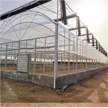 Multi-Span-Film-Gewächshaus mit NFT-System für Blattgemüse