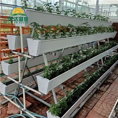 Hydroponische Pflanzrinne aus PVC