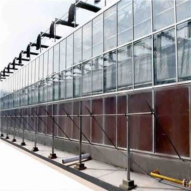 Venlo Agriculture Glas gewächshaus