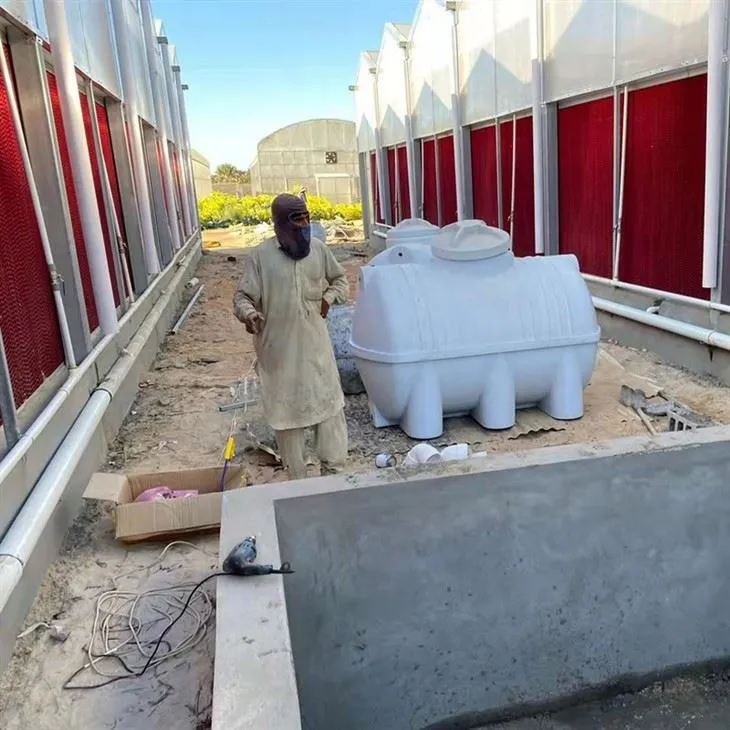 China Polycarbonate Greenhouse Price