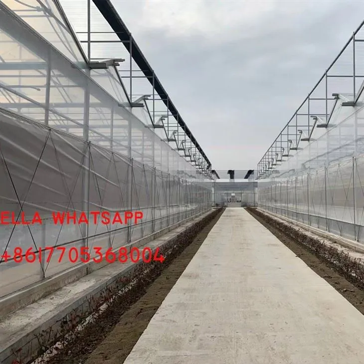 China Polycarbonate Greenhouse Price