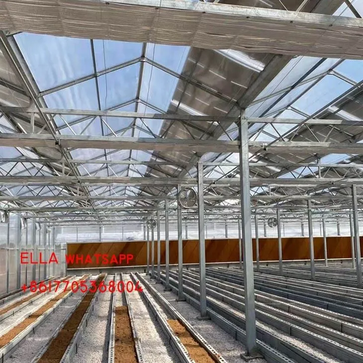 China Polycarbonate Greenhouse Price