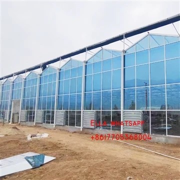 Großes Glasgewächshaus fertiggestellt