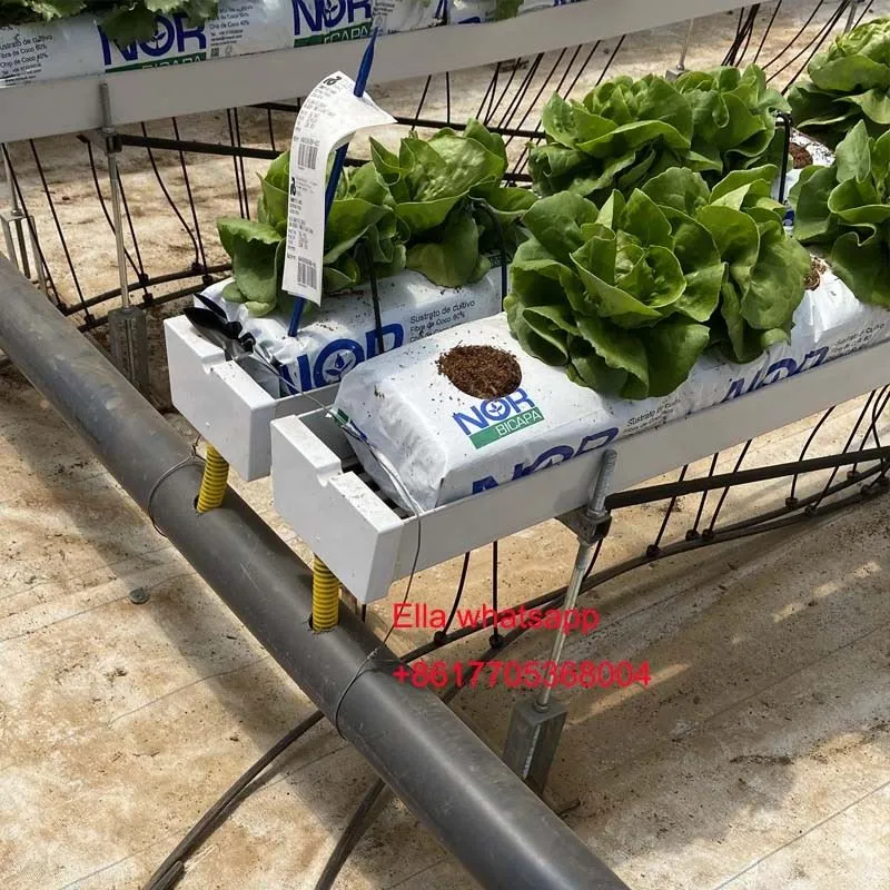 Hydroponic Planting Gutter For Tomato Greens