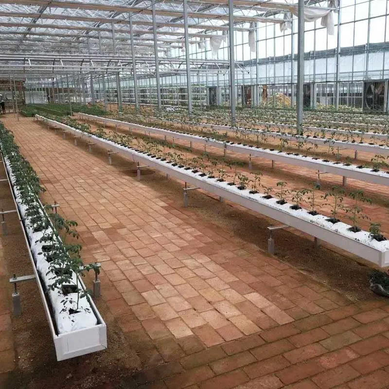 Hydroponic Planting Gutter For Tomato Greens