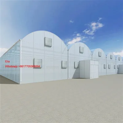 7.000 Quadratmeter unserer Solarpanel -Gewächshäuser