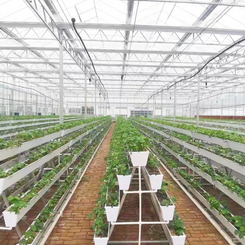 strawberry gutter strawberry gutter